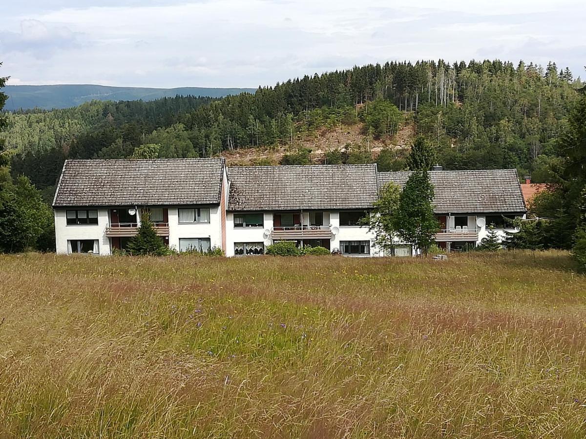 Ferienwohnung Am Kunstberg 29 Альтенау Екстер'єр фото